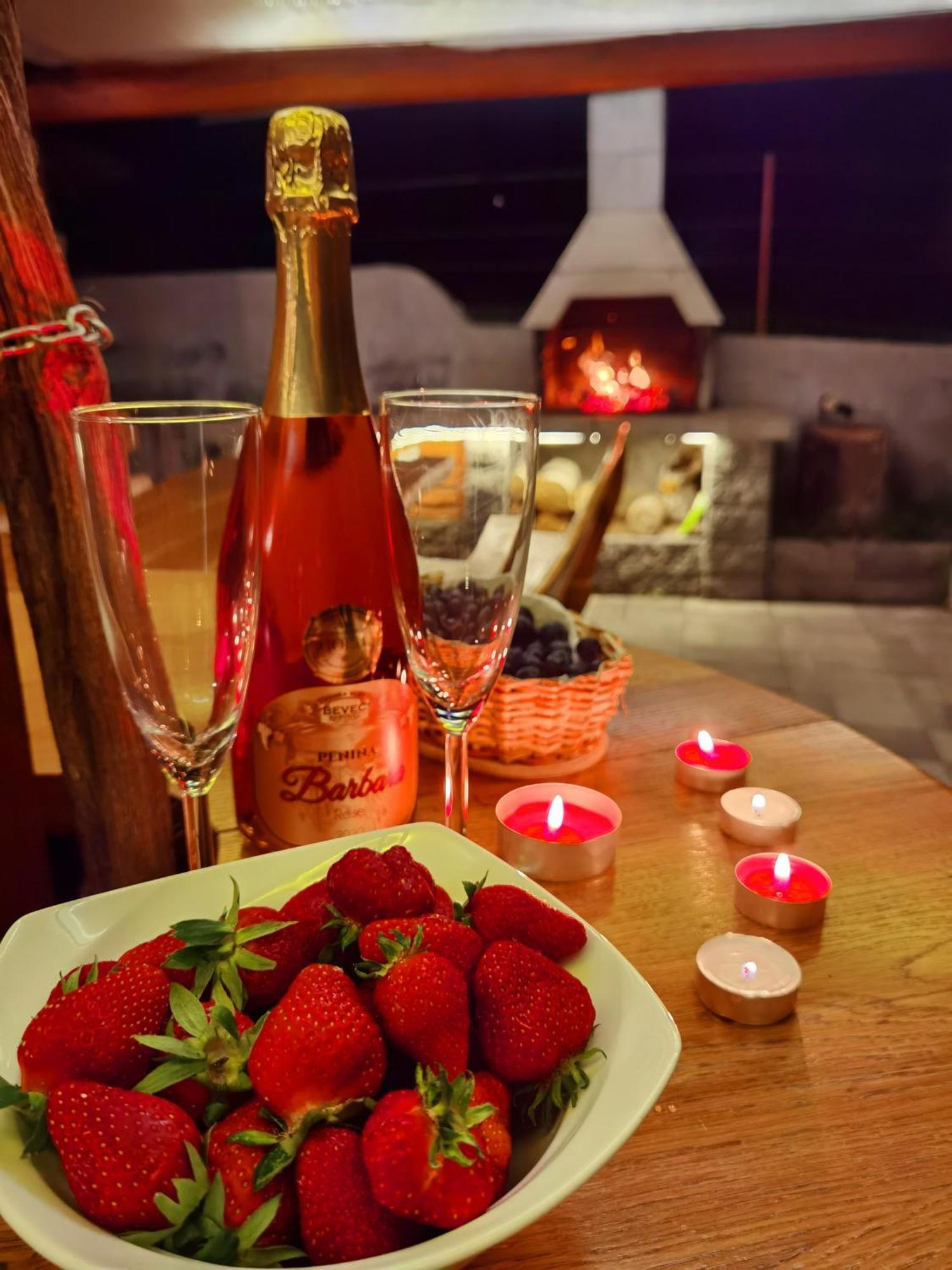 Vineyard Matej Holiday home Trebnje