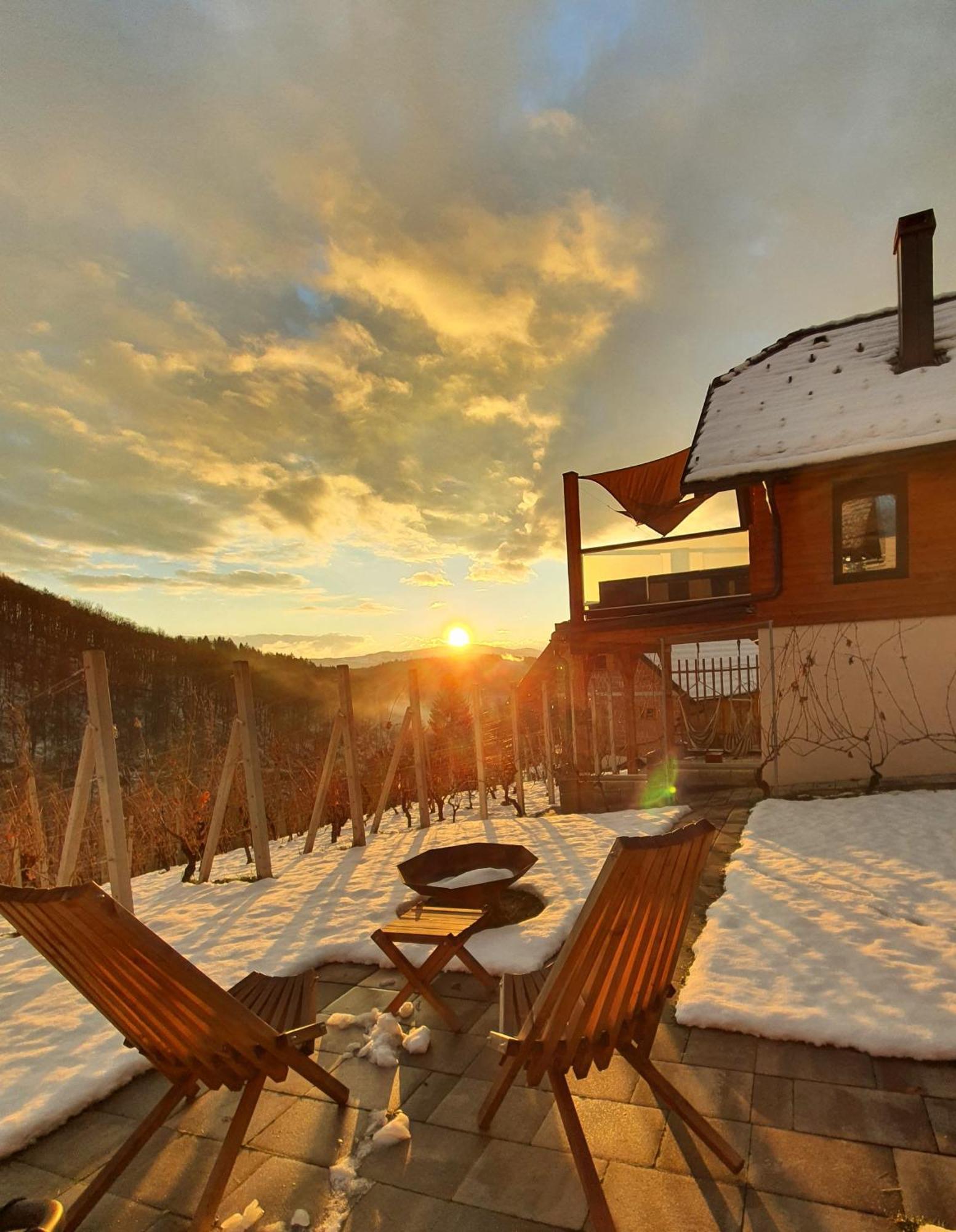 Vineyard Matej Holiday home *
