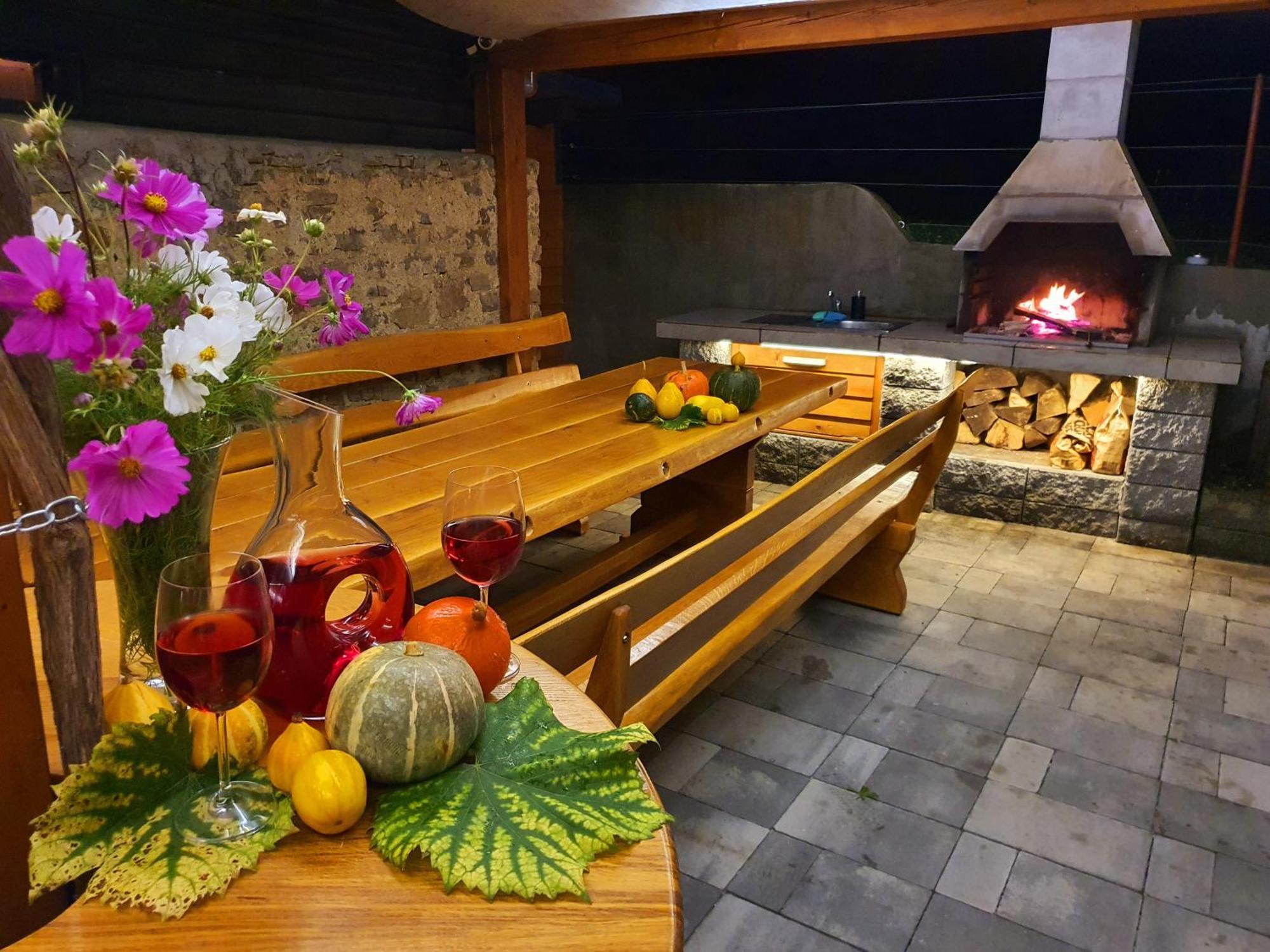 Vineyard Matej Holiday home