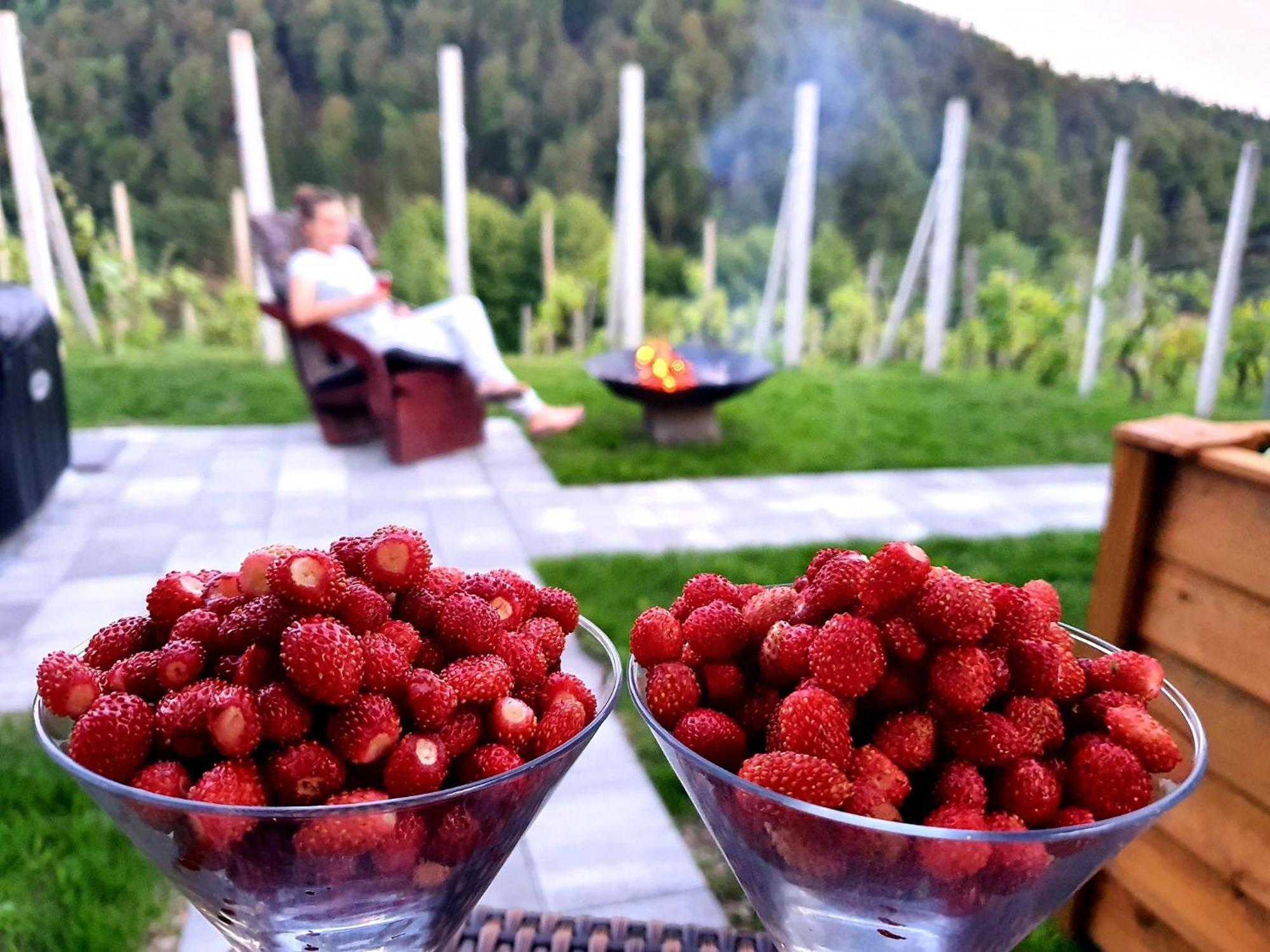 Vineyard Matej Holiday home *