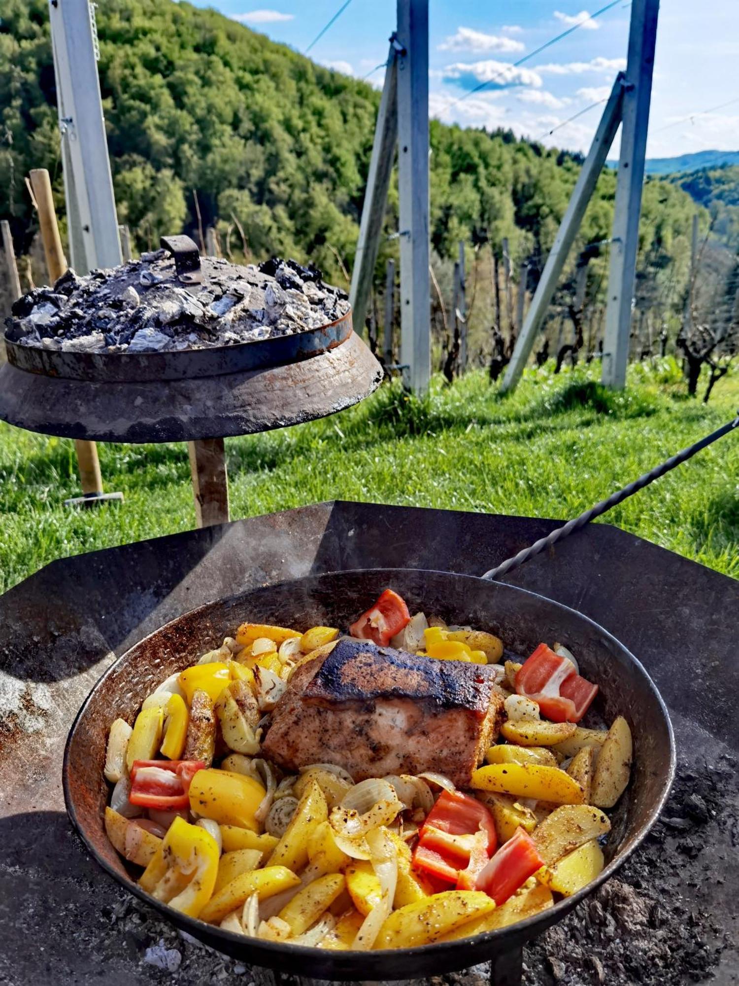 Vineyard Matej * Trebnje
