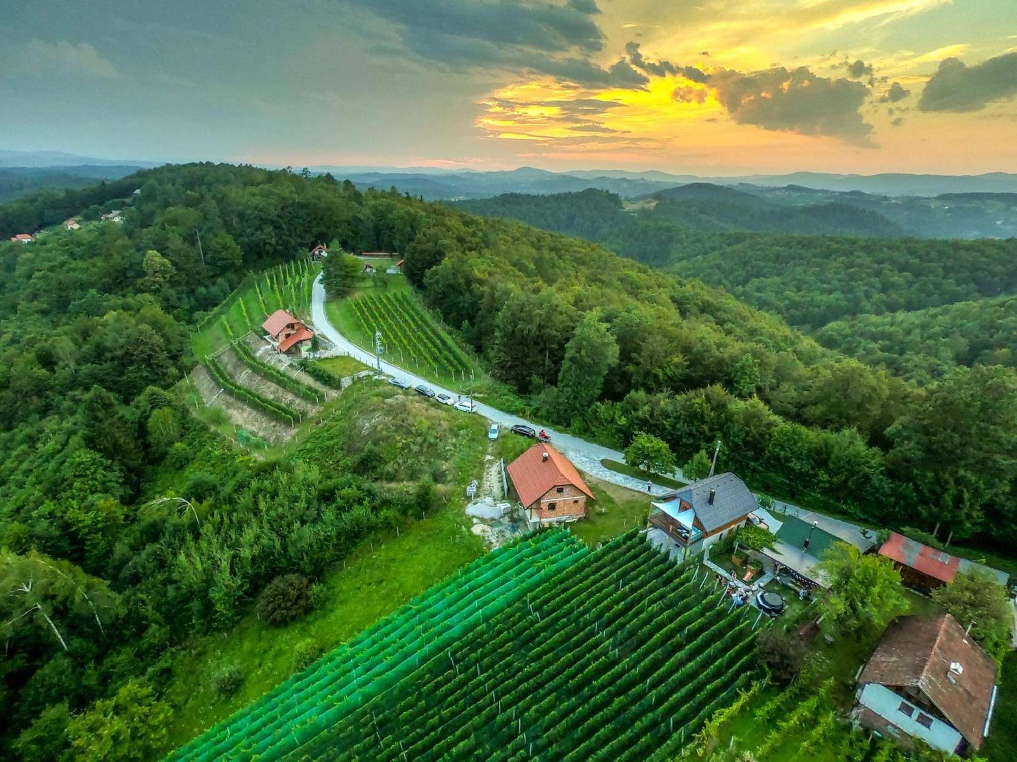 Vineyard Matej Holiday home Trebnje