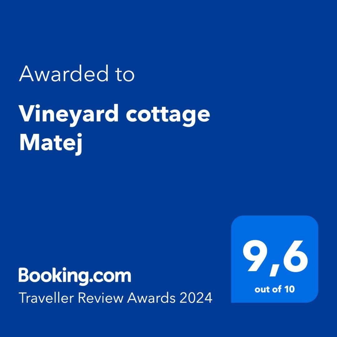 Vineyard Matej Trebnje