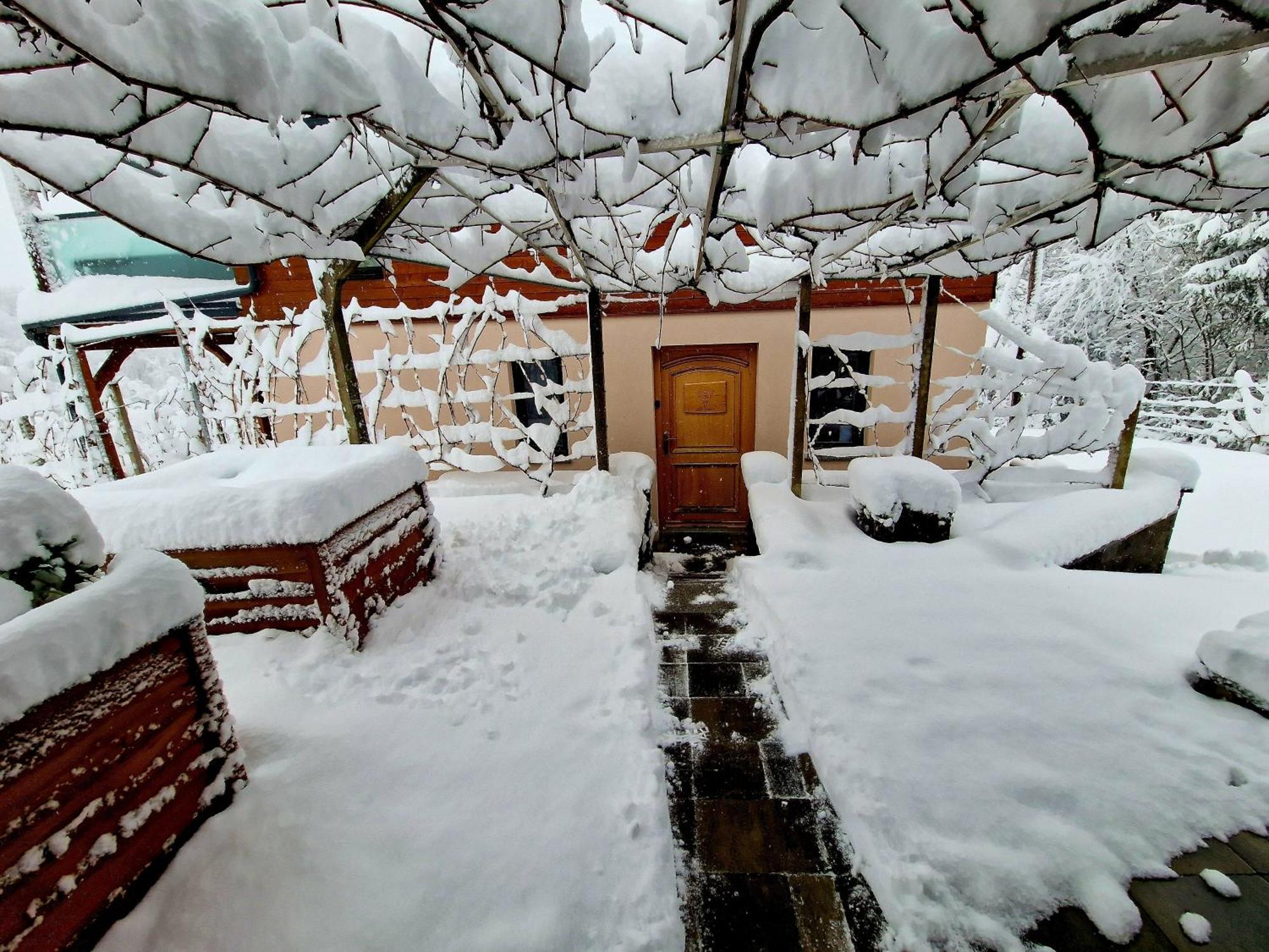 Holiday home Vineyard Matej *