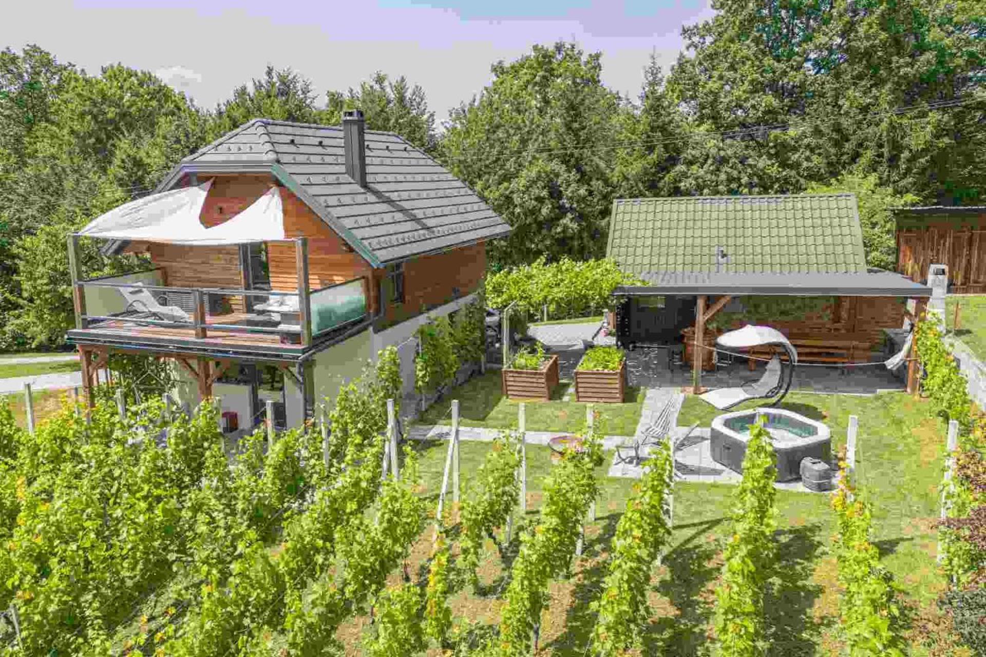 Vineyard Matej Trebnje