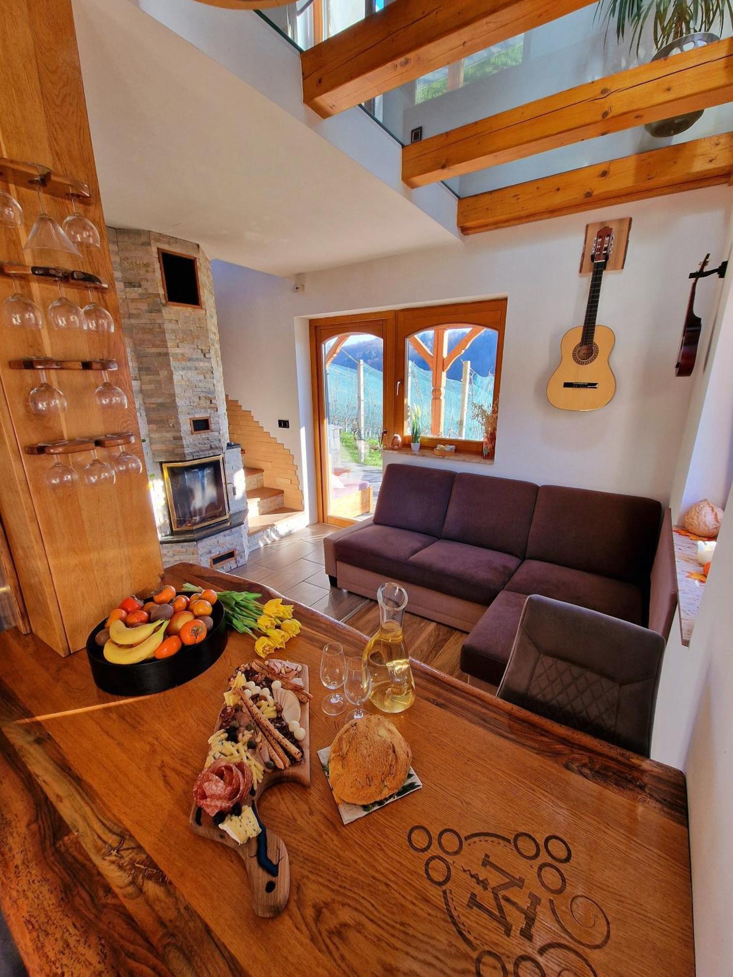Vineyard Matej Holiday home Trebnje